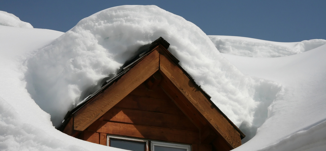 Which snow loads are you specifying?