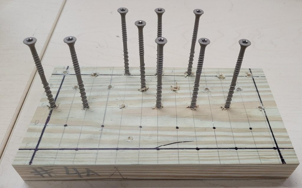 Wooden testing block filled with our Deck Drive Screw (DVS)